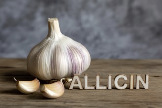 Garlic bulb on walnut table with cloves spelling Allicin. Rustic still life celebrating flavor and