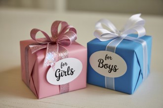 Two small gender color-coded gift boxes labeled for boys and girls. Gender stereotypes in