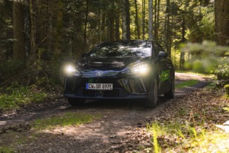 Black car with switched on headlights on a forest path, surrounded by trees, MG 4, Deer E- Car