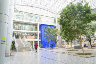 Bright shopping centre with glass ceiling and modern architecture, large trees adorn the open