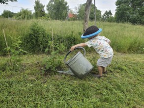 Little boy with coneflower, 2 years old, watering a plant with a large watering can,