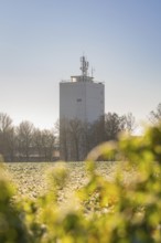 A white communication tower stands in a wintry field, surrounded by trees under a clear, sunny sky,
