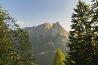 Landscape with mountains and dense forest in soft sunlight, Alpe di Siusi, Dolomites, South Tyrol,