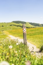 Sign on a hiking trail in a blooming, wide meadow, Alpe di Siusi, Dolomites, South Tyrol, Italy
