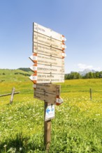 Signpost in a green landscape with mountain views, Alpe di Siusi, Dolomites, South Tyrol, Italy