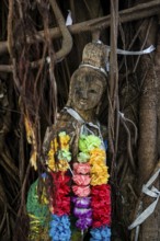 Bodhi tree, Ficus religiosa, wooden figure, Koh Phi Phi, Krabi, Andaman Sea, Thailand