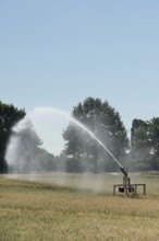 Sprinkler system... Midsummer, hot summer, summer heat, heat wave, sprinkler wagon waters a grain