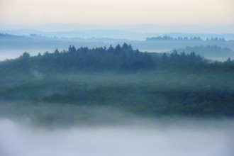 Early morning fog over forested hills in low mountain range, Germany