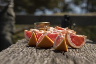 Sliced grapefruits on a wooden table in the sun with a blurred background, Prerow,