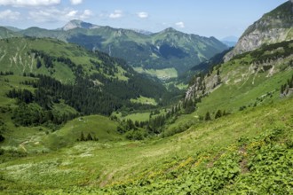 View from the hiking trail to the Hochalp Pass into Kleinwalsertal, behind Walmendinger Horn,