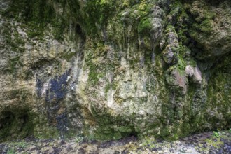 Mineral deposits and moss on a rock at the Dietersbach, Rautweg, Gerstruben, near Oberstdorf,