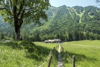 Hiking trail to Hölltobel to Gerstruben, behind Mumme-StÃ¼ble, Gottenried, near Oberstdorf,