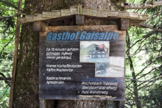 Signpost to the GaiÃŸalpe on the hiking trail from the GaiÃŸalpe to Unterer GaiÃŸalpsee, near