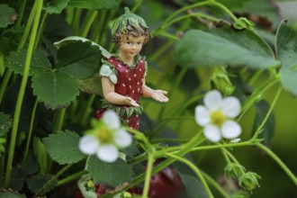 A decorative figure in the shape of a strawberry man surrounded by green leaves and white flowers