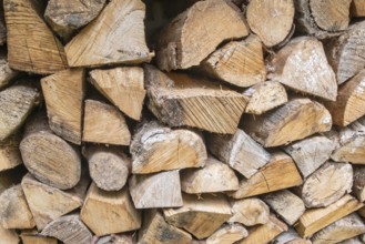 Neatly stacked firewood, MÃ¼nsterland, North Rhine-Westphalia, Germany