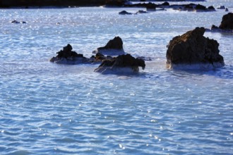 Turquoise-blue geothermal water, volcanic rock, Blue Lagoon tourist attraction, Grindavik,