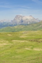 Wide green meadow landscape with mountains in the background under a clear sky, Schlehrn hike, Alpe