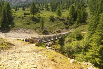 A wooden path leads over a small river into a sun-drenched forest, Schlehrn hike, Alpe di Siusi,