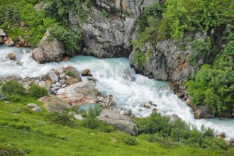 Mountain stream Steinwasser makes its way over boulders through vegetation overgrown with blooming