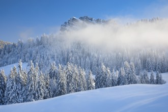 View of Sattelegg with Chli Aubrig in the background, Canton Schwyz, Switzerland