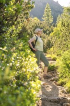 Woman enjoying the hike through a sunny forest path, hike to the Schlehrn, Alpe di Siusi,