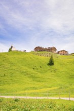 Houses on a green meadow with blue sky in the background, idyllic landscape, hike to the Schlehrn,