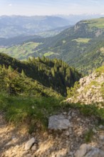 View of a wide wooded valley with mountains in the background, hike to the Schlehrn, Alpe di Siusi,