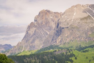 Imposing mountains with snow-covered peaks rise above green valleys, hike to the Schlehrn, Seiser