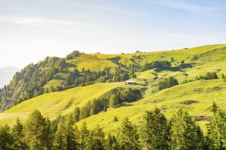 Panorama of rolling, wooded hills with a house in the distance, hike to the Schlehrn, Alpe di