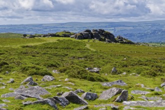 Stones and landscape at the top Tor tor rock hill in Dartmoor National Park. Widecombe-in-the-Moor,