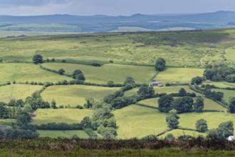 Fields and meadows around the village of Widecombe-in-the-Moor in Dartmoor National Park. Bovey