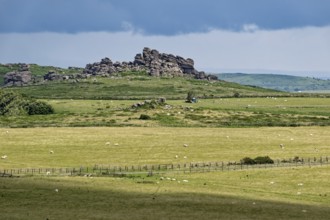 The Hound Tor rocks at Widecombe-in-the-Moor in Dartmoor National Park. Bovey Tracey, Devon, South