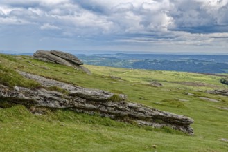 The Haytor Rocks in Dartmoor National Park. Bovey Tracey, Devon, South England, Great Britain