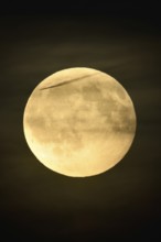 In the night sky... Full moon on an almost starry night, only a few thin clouds obscure the moon,