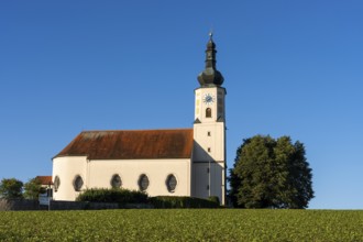 The pilgrimage church of the Assumption of the Virgin Mary in WeiÃŸenregen near Bad Kötzting. In