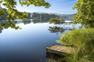 A jetty at Blaibacher See. Blaibach, district of Cham, Upper Palatinate, Bavarian Forest, Bavaria,