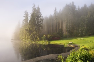 Lake Blaibach on a misty morning with sunshine. Blaibach, district of Cham, Upper Palatinate,