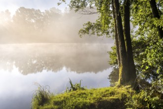 Lake Blaibach on a misty morning. Water vapour rises from the lake. Blaibach, district of Cham,