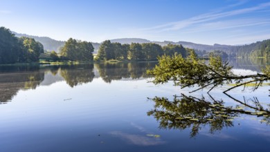 Lake Blaibach in summer. Blaibach, district of Cham, Upper Palatinate, Bavarian Forest, Bavaria,