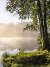 Lake Blaibach on a misty morning. Water vapour rises from the lake. Blaibach, district of Cham,