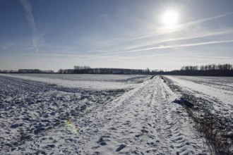 Glistening light... Meerbusch (North Rhine-Westphalia), rural cultural landscape on the Lower Rhine