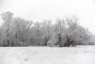 Winter walk through a rural cultural landscape in the snow on the Lower Rhine, on the left bank of