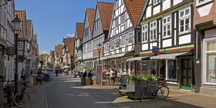 Lively pedestrian zone in the old town with many half-timbered houses, Celle, Lower Saxony, Germany