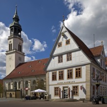 Town church and old town hall, south gable with pillory, Stechbahn, Celle, Lower Saxony, Germany
