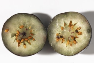 Two halves of a sliced blueberry with seeds, macro shot