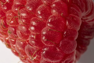 Close-up of a red raspberry with a clear structure