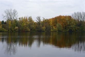 Bislicher Insel, still water, gravel excavation, Old Rhine, lake in autumn, autumn colours, quiet,