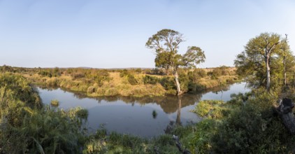 Idyllic river landscape, African savannah, Kruger National Park, South Africa