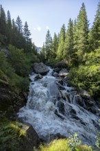 Waterfall at a roaring mountain stream between trees, Seebach stream in the Burkhardklamm gorge,