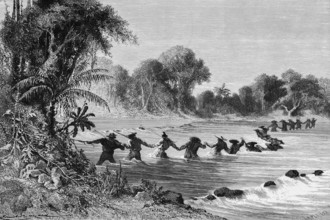 Human chain crossing a river in the Amazon rainforest, raging current, danger, cataract, riverbank,